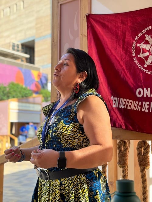 'We are rebels': Indigenous women take lead on climate action at COP28