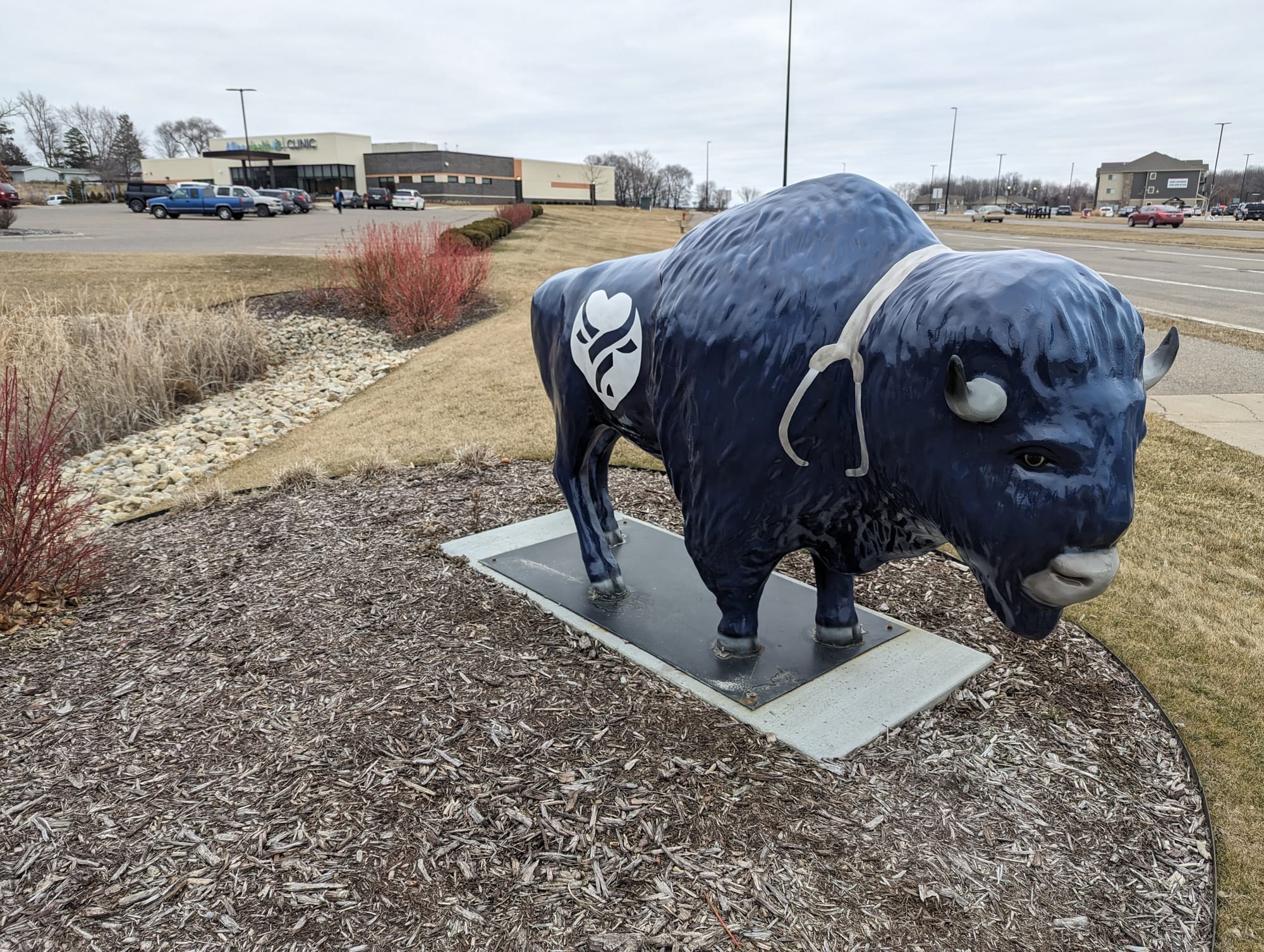 Buffalo statue sits outside health clinic.
