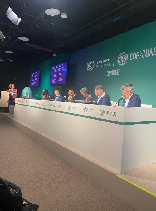 People participate in a panel at COP28.