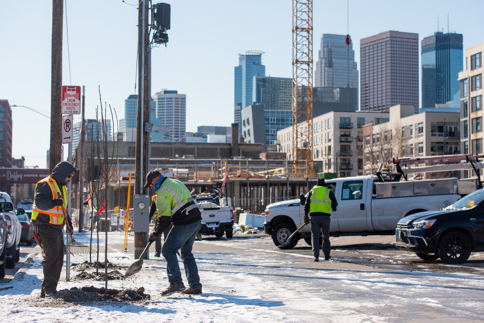 The new green economy: Building a resilient urban forest