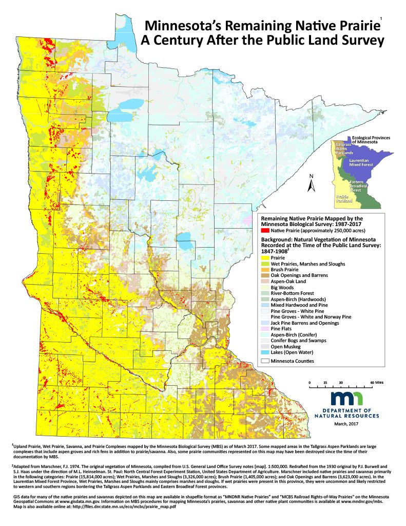 Remaining-native-prairie-in-Minnesota