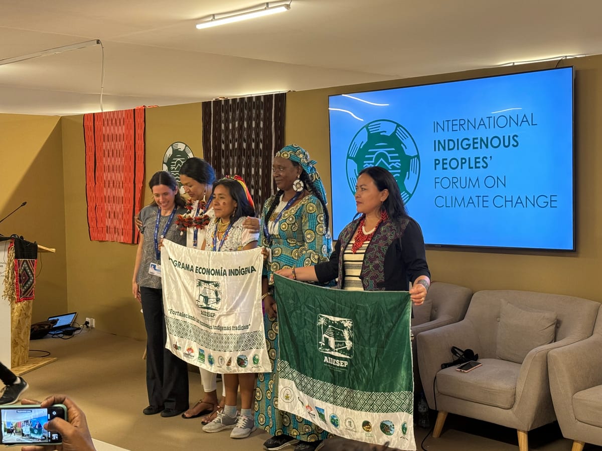 'We are rebels': Indigenous women take lead on climate action at COP28