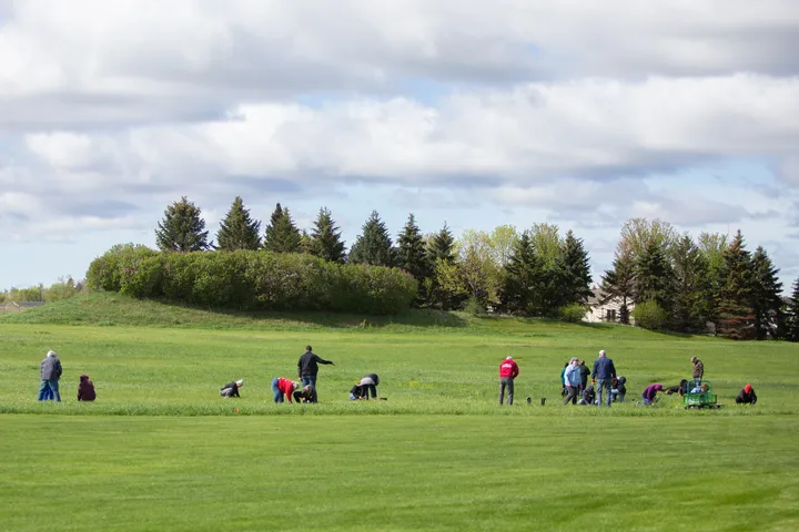 Not every plant takes root, but prairie interventions help with biodiversity