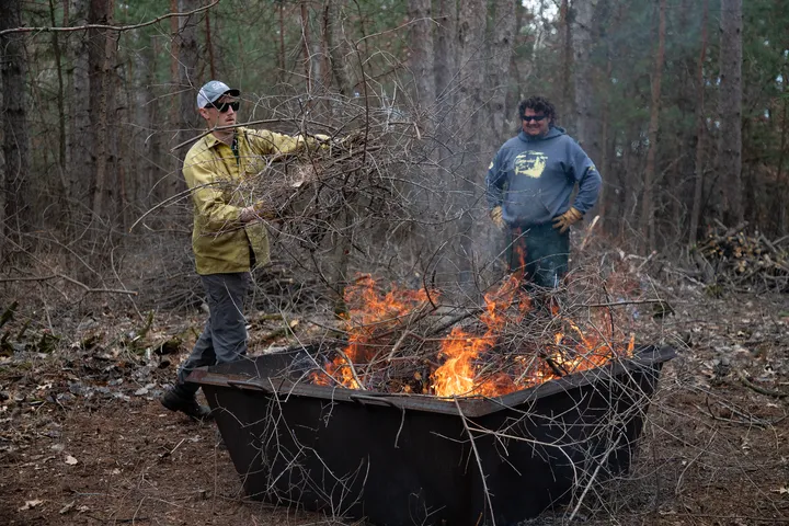 A man adds buckthorn brush to a lit biochar kiln as another man watches in the background. They are standing in a wooded area in a regional park.