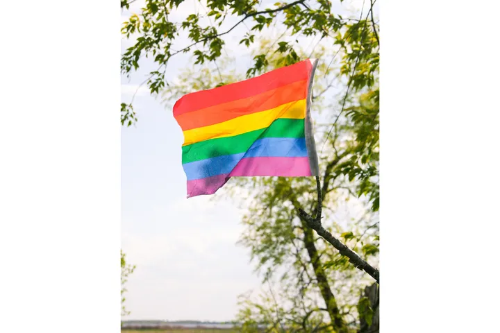 A rainbow flag is attached to a tree limb and waves in the wind. 