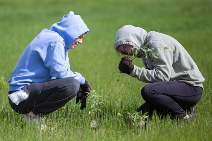 Volunteers planted more than 400 plants and roughly 18 different species across 15 acres in late May of 2022 to maintain rest